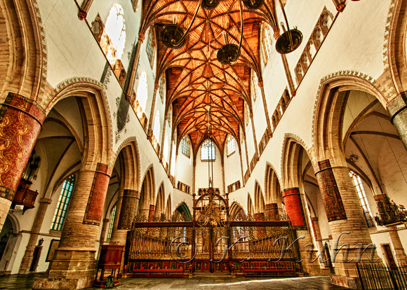 Haarlem Churches