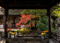Portland, OR - Lan Su Chinese Garden